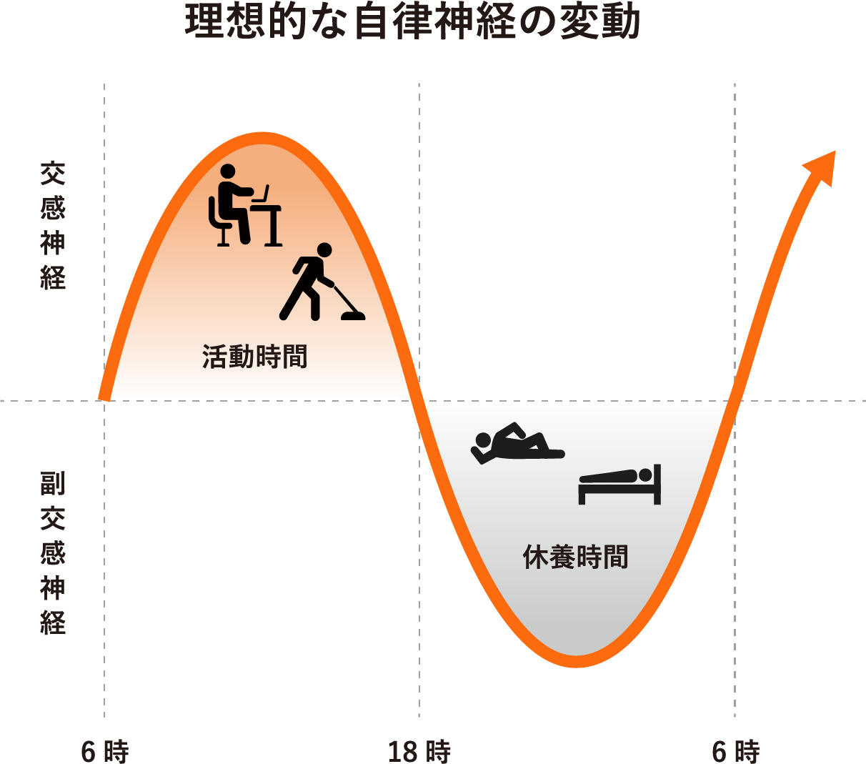 理想的な自律神経の変動