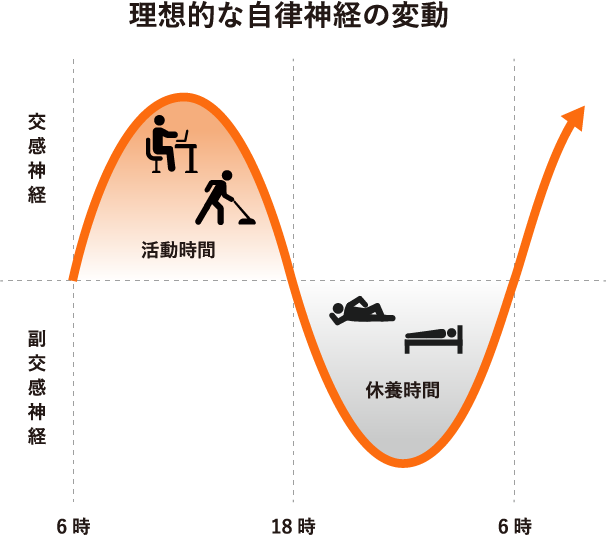 理想的な自律神経の変動