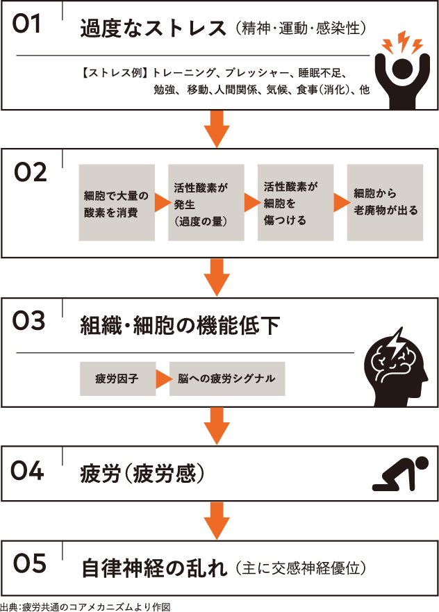 「疲労回復」へのカギは副交感神経優位な時間